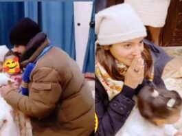 Virat and anushka