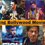 Bollywood Movies 2024