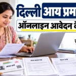दिल्ली में आय प्रमाण पत्र के लिए ऑनलाइन आवेदन करती महिला